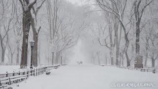 Eternal winter melodies - Mozart, Beethoven, Chopin, Tchaikovsky, Bach - Classical music relaxes