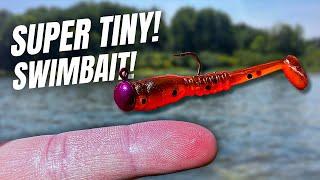 This is THE BEST Ultralight Fishing Swimbait Out There!