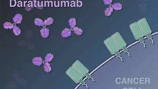 Treating Newly Diagnosed Myeloma