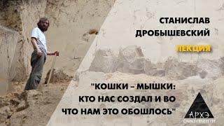 Станислав Дробышевский: "Кошки – мышки: кто нас создал и во что нам это обошлось"