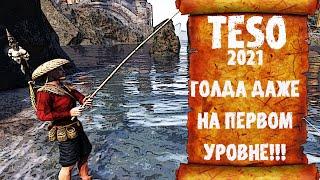 Рыбалка снова стала выгодной? Сколько можно нафармить за час. Конкурс 100к голды за комментарий.