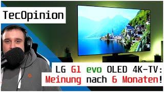 [REVIEW] LG OLED G1 evo 2021 4K Fernseher - Meine Meinung nach 6 Monaten! | TecOpinion | deutsch