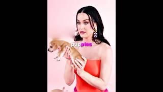 How Katy Perry NAMED her DOG 