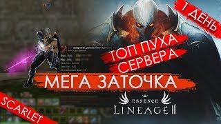 Мега Заточка / 1 день / Scarlet / Lineage 2 Essence