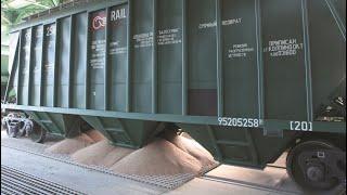 Russia and the Grain: Russia's Railway Hopper Cars and Grain Exports. IEC.