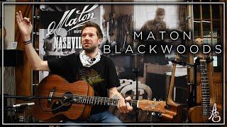 Maton Blackwoods