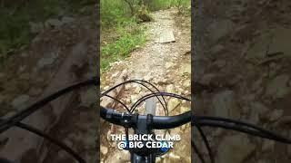 Big Cedar Wilderness Trails  Dallas,TX  #dorba #mtb #bikelife