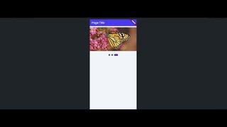 image Carasoul in @FlutterFlow  using Pageview
