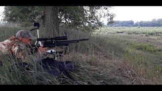 Hatsan AT44-10 at 300 m Long Range FX Hybrid slugs