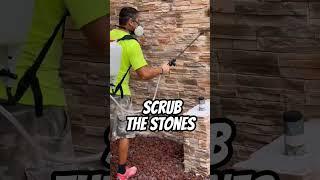 Brick wall preservation tips