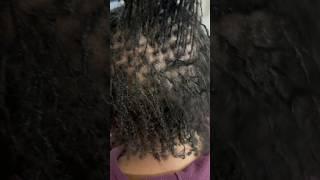 5 months in, & moms #sisterlocks are thriving her Fine hair is giving growth,health,& beauty