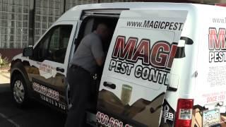 Termite Inspection | Magic Pest Control