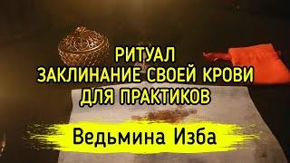 ЗАКЛИНАНИЕ СВОЕЙ КРОВИ. ДЛЯ ПРАКТИКОВ. ВЕДЬМИНА ИЗБА ▶️ МАГИЯ