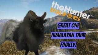 We Finally Obtained the Great One Tahr! (theHunter Call of the Wild)