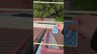 MRMONKEY VS UNO  #mrmonkey #scimmia #monkey #vs