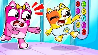 No No! Don't Jump in The Elevetor! - Safety Song - Baby Ringo Funny Kids Songs