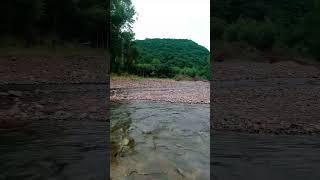 #music #love #song #coversong #singersongwriter #отдых #реки #beach #goodhealth #приморье
