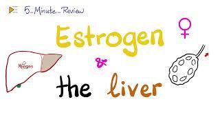 Estrogens and the Liver - Gallstones, Hepatic Adenomas, LDL, HDL, TBG, SHBG, p450