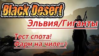 Тест спота ЭЛЬВИЯ/ГИГАНТЫ( честный фарм) Black Desert