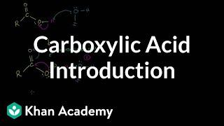 Carboxylic acid introduction | Carboxylic acids and derivatives | Organic chemistry | Khan Academy