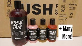 LUSH Cosmetics All Year Round Shower Gel Guide! My favourites, likes and dislikes!