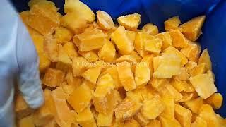 IQF Fruits: IQF Mango - Frozen mangos finished product