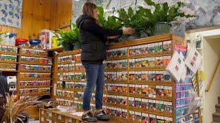 New Houseplant Load at the Garden Center! 🪴 // Garden Answer