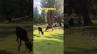 Nature’s Masterpiece – A Slice of Heaven ||#explorenow #foryou #paradise #nature #ytshorts #travel