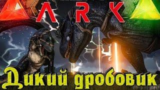 ARK - ДИКИЙ Дробовик