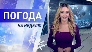 Погода на неделю 24-30 января 2022. Прогноз погоды. Беларусь | Метеогид