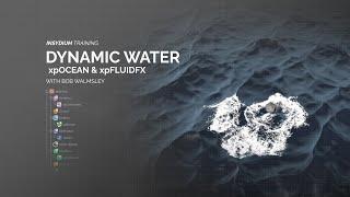 INSYDIUM Training - Dynamic Water - xpOcean & xpFluidFX