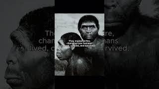 The Most Successful Human to ever Walk the Earth  #earlyhumans  #prehistoric #history