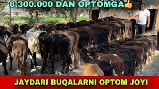 SOTILDI XAMMASI BUXOROGA️93-739-00-33 / 95-091-96-00 OPTOM JOYI