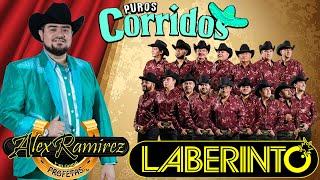Grupo Laberinto, Alex Ramirez Y Su Grupo Profetas - Puros Corridos Mix 2022