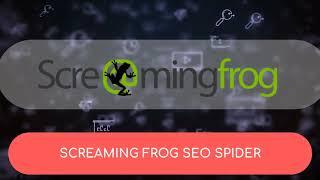 Nosok.org SEO promo en