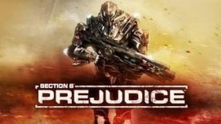 Section 8: Prejudice Video Review