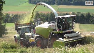 Die Raubkatze im Getreide - Claas Jaguar 970 beim GPS häckseln - LU Spitzner