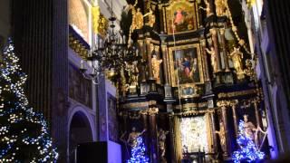 Blessed Virgin Mary Cathedral in Lipka