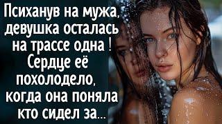 Психанув на мужа, девушка осталась на трассе одна! Сердце её похолодело, когда она поняла кто сидел