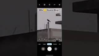 30x Zoom on Motorola edge 50 Neo #techandrowin #shorts #zoomtest