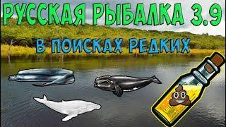 Русская рыбалка 3.9. В поисках новых редких!