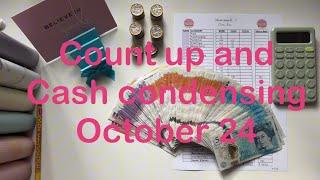 Cash condensing * Counting up my binders * October 24 * How much have we saved * Up or down? 