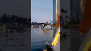 Swan Boats in Long Beach, CA #longbeach #activities #travelblogger #travel
