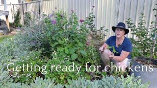 Hydrangea cuttings, watermelon harvest, & getting ready for chickens