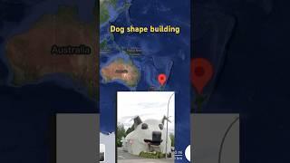 I found dog shape building on google map and google earth  #shortvideo #shorts #explore #map 