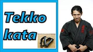 Tekko kata "Maesato no tekko" by Kohji Katoh(Ryukyu Kobudo)