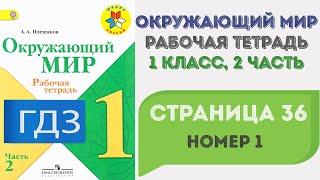 Окружающий мир. Рабочая тетрадь 1 класс 2 часть. ГДЗ стр. 36 №1