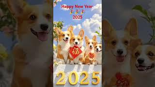 Happy new year 2025 #pets #doglover #dog #newyear2025 #2025 #happynewyear