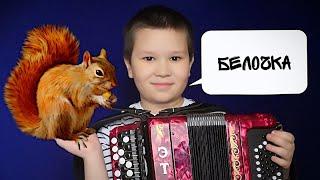 Белочка на баяне / Разбор / Баян TV / Путь Викинга!