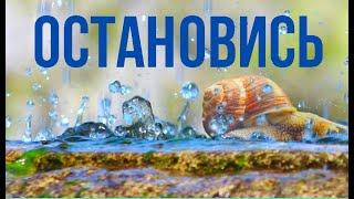 Практика для остановки внутреннего диалога !